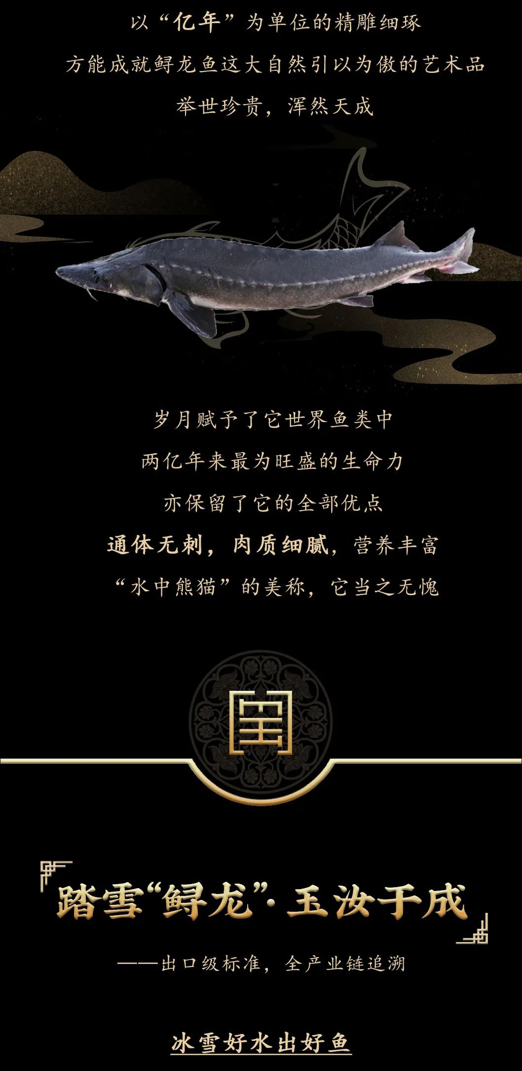 九州鱘龍魚片上新 | 自然臻藏，獻給吃魚有講究的人